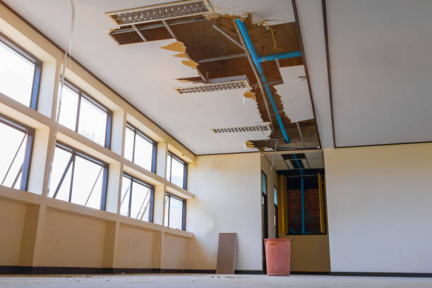 Best Mold removal after water damage  in Harwich Port, MA
