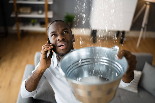 Best Ceiling water damage repair  in Harwich Port, MA