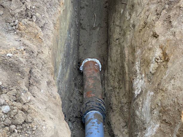 Best Professional water damage repair  in Harwich Port, MA