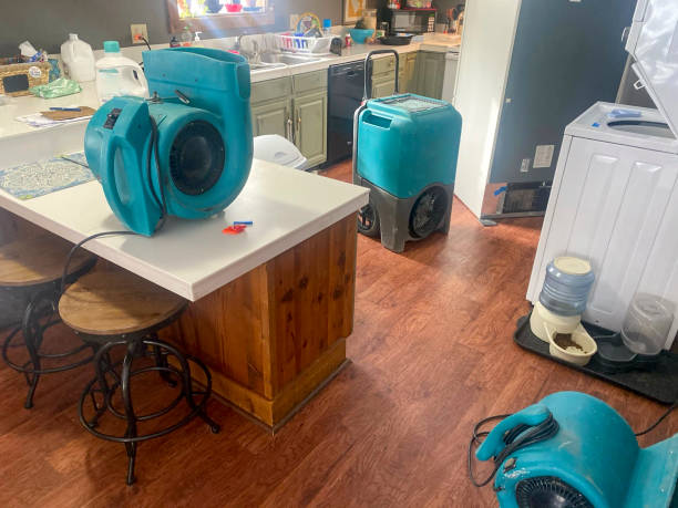 Best Water damage restoration near me  in Harwich Port, MA