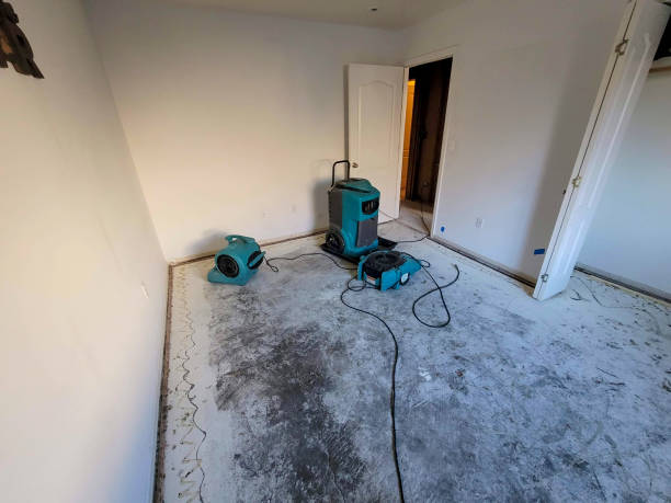 Best 24/7 water damage repair  in Harwich Port, MA