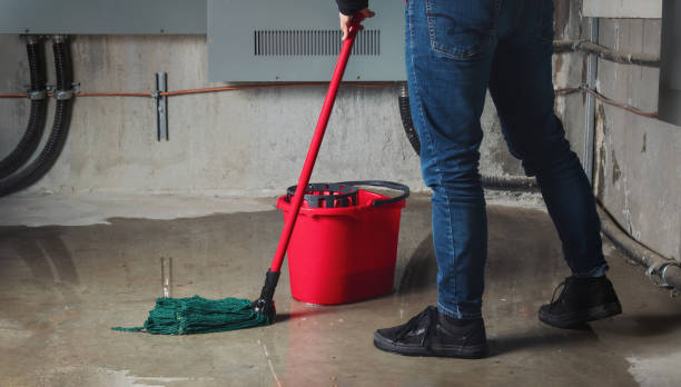 Best Sewage cleanup and water damage restoration  in Harwich Port, MA
