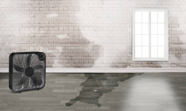 Water damage restoration experts in MA