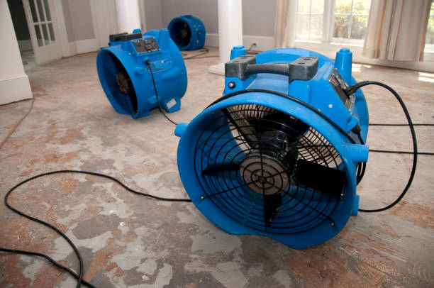 Best Local water damage restoration  in Harwich Port, MA