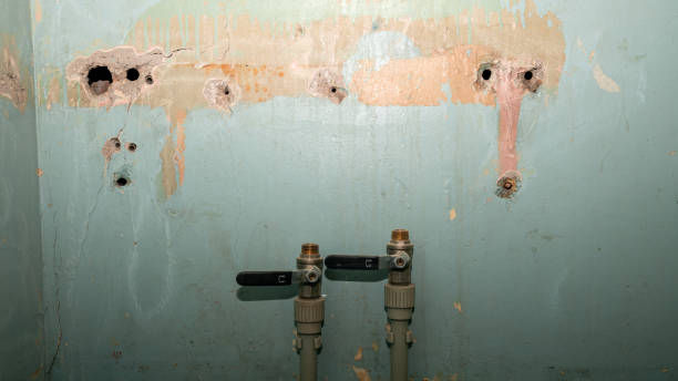Best Water damage cleanup near me  in Harwich Port, MA